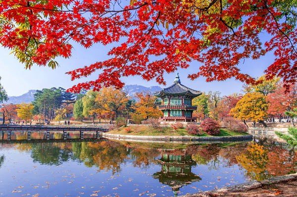 Hình ảnh mùa thu Hàn Quốc đẹp 2