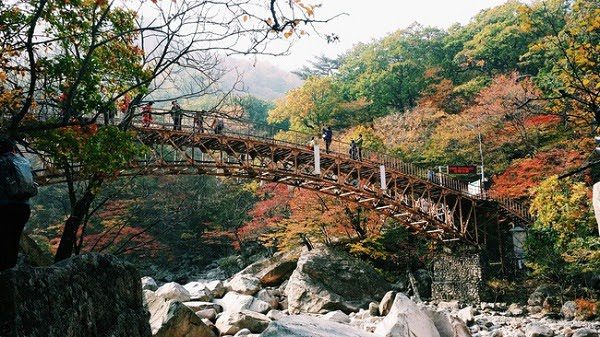 Hình ảnh mùa thu Hàn Quốc đẹp 3
