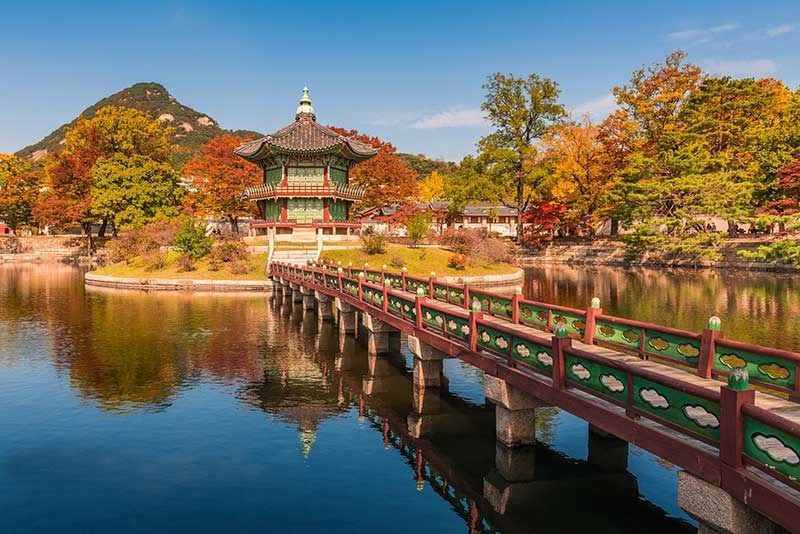 Hình ảnh mùa thu Hàn Quốc đẹp 4