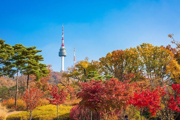 Hình ảnh mùa thu Hàn Quốc đẹp 5