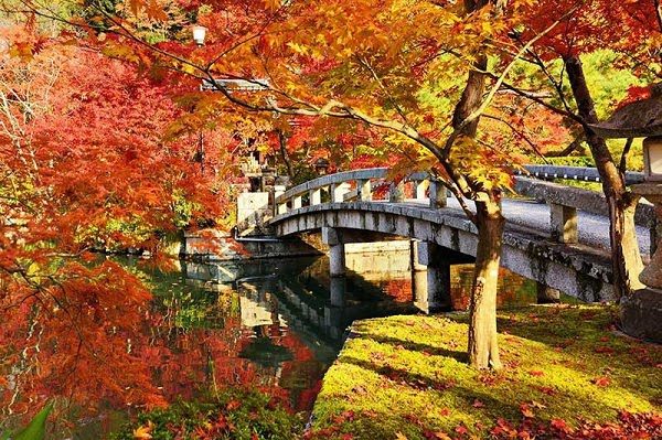 Hình ảnh mùa thu đẹp Nhật Bản 2