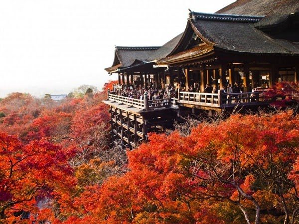 Hình ảnh mùa thu đẹp Nhật Bản 4