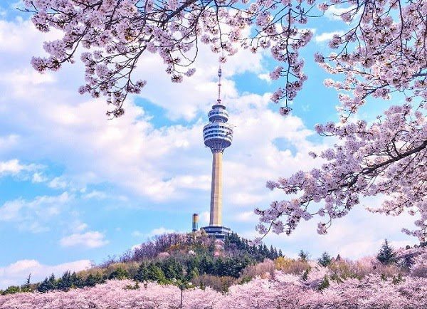 Cảnh đẹp mùa xuân Hàn Quốc