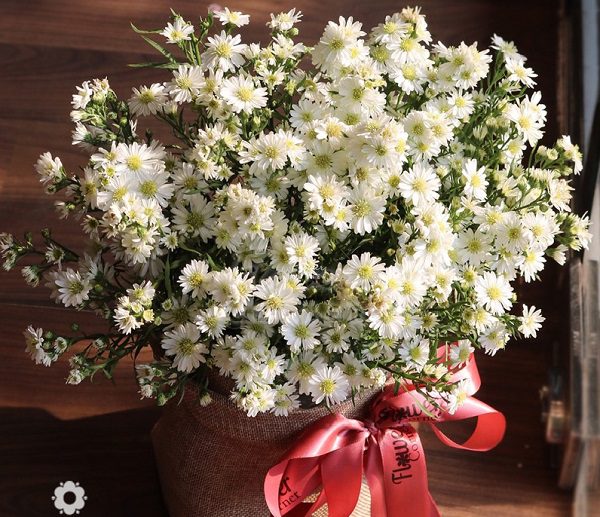 Bó hoa thạch thảo lãng mạn cho ngày kỷ niệm cưới