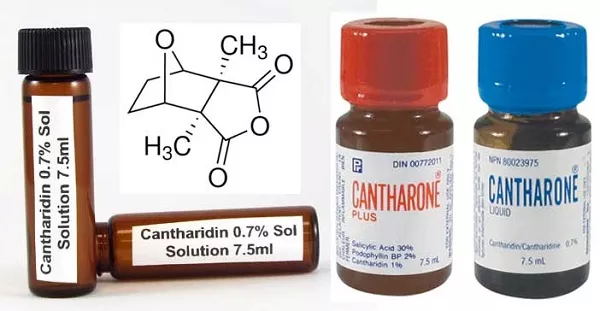 Thuốc trị mụn cóc Cantharidin