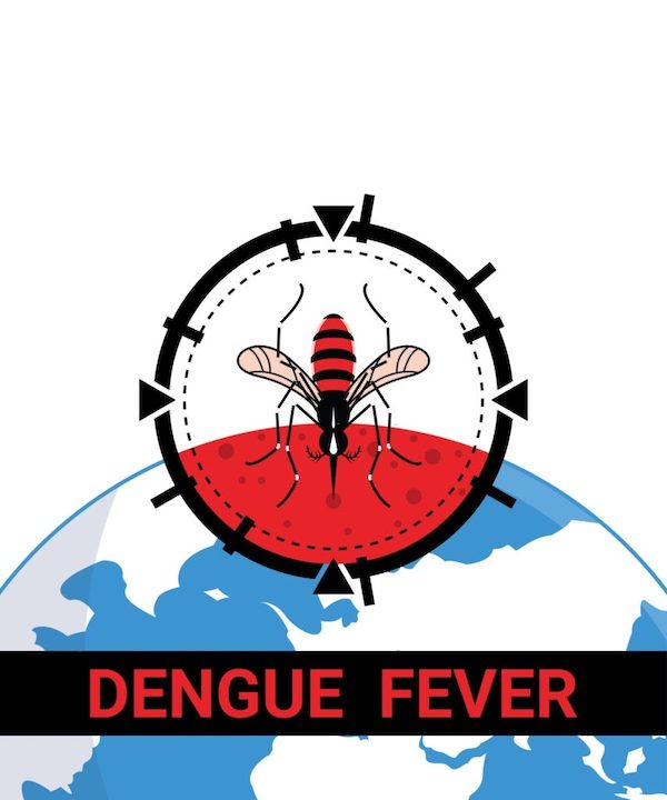 Bệnh sốt xuất huyết Dengue là gì? Nguyên nhân, biểu hiện