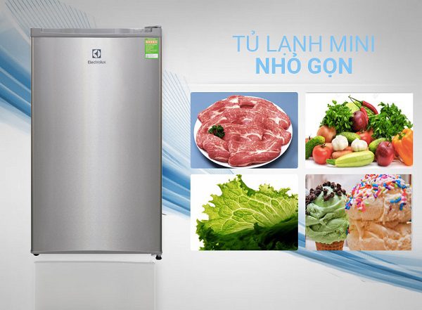Tủ Lạnh Mini Electrolux Eum0900Sa